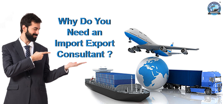 Import Export Consultant