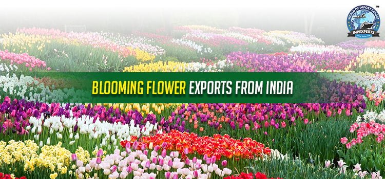 Export Flowers From India